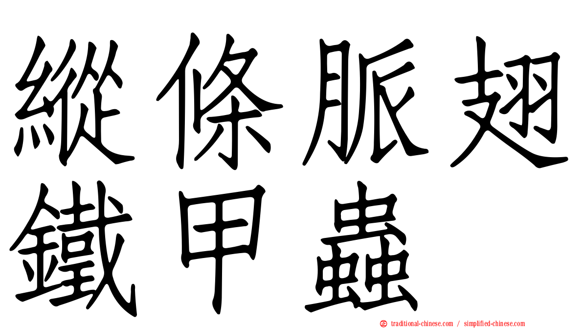 縱條脈翅鐵甲蟲