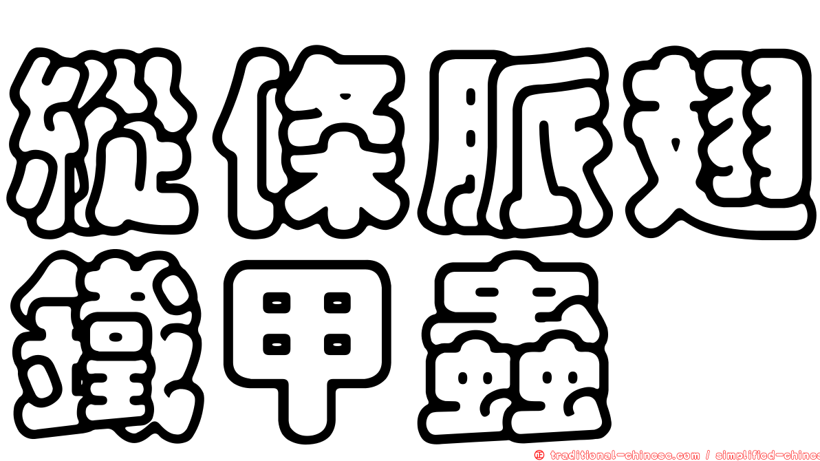 縱條脈翅鐵甲蟲