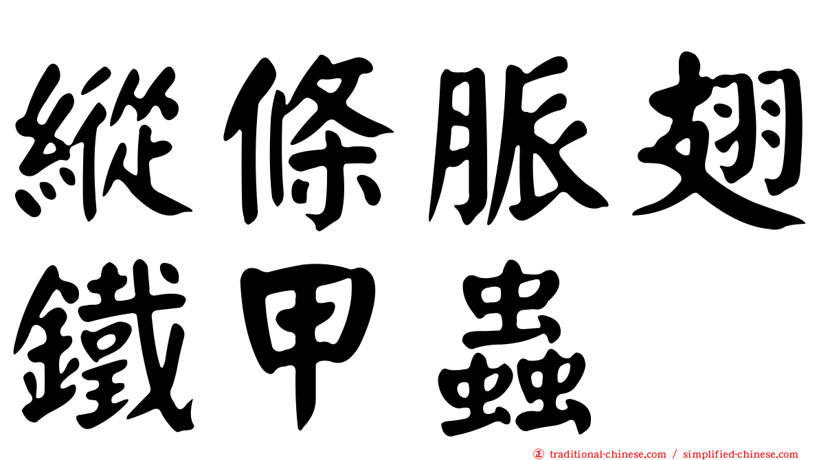 縱條脈翅鐵甲蟲