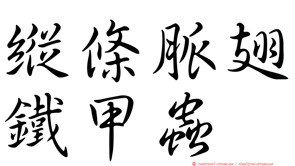 縱條脈翅鐵甲蟲