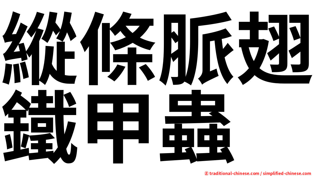 縱條脈翅鐵甲蟲