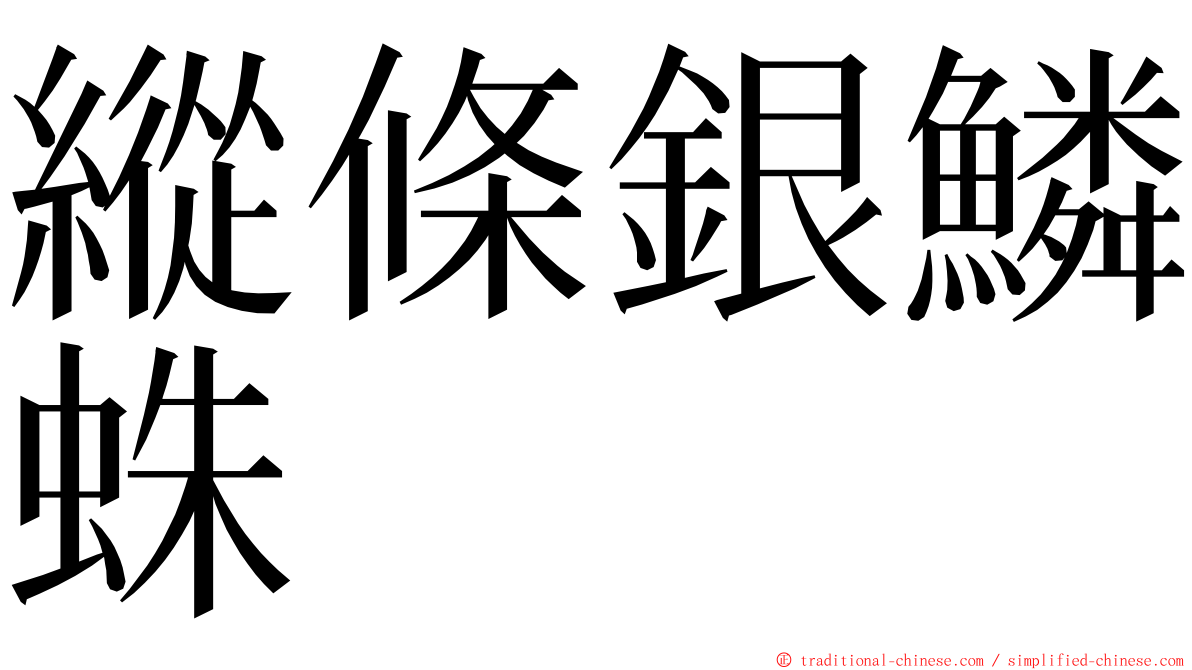 縱條銀鱗蛛 ming font