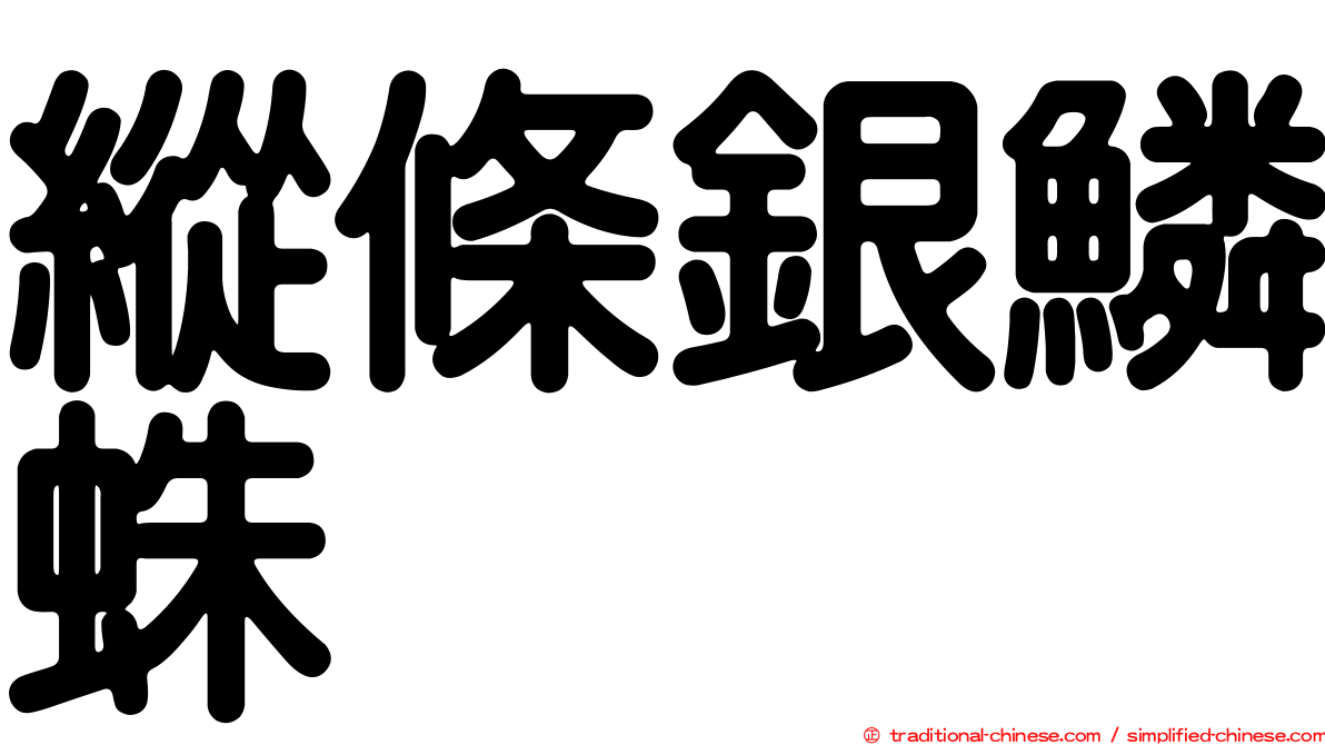 縱條銀鱗蛛