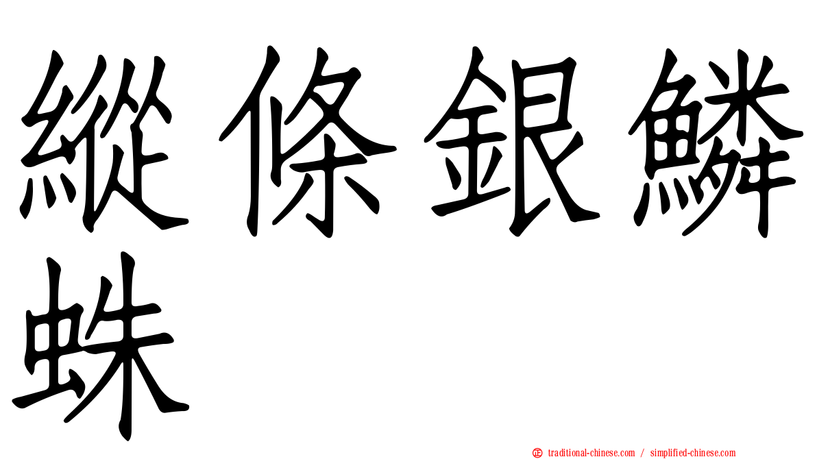 縱條銀鱗蛛