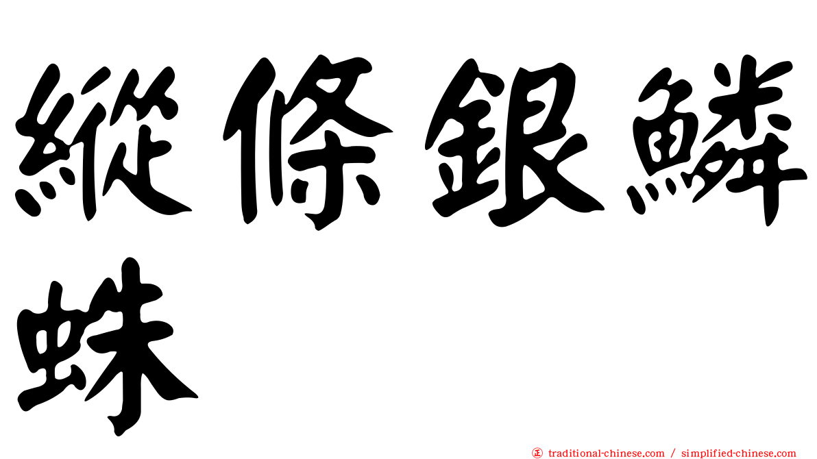縱條銀鱗蛛