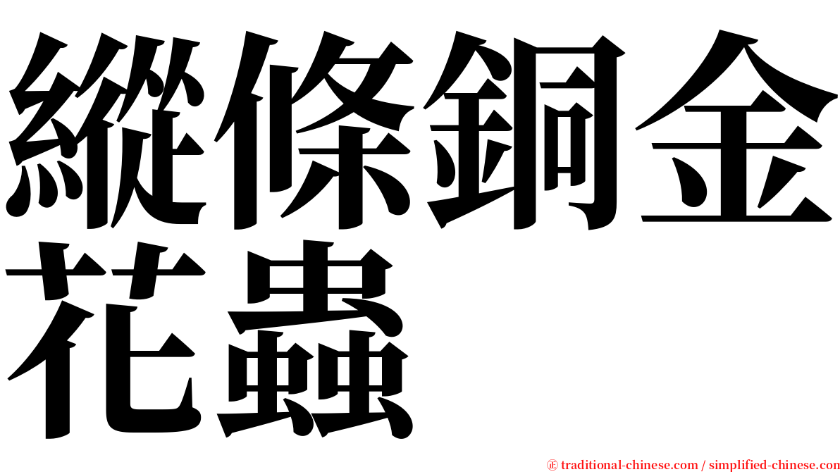 縱條銅金花蟲 serif font