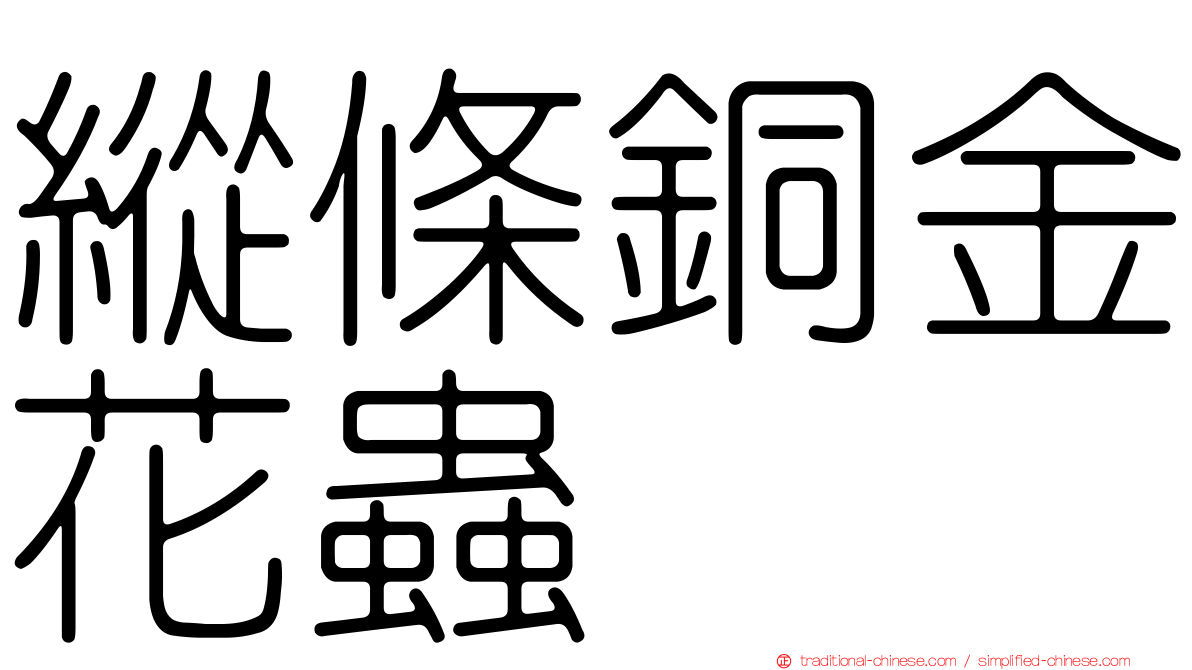 縱條銅金花蟲