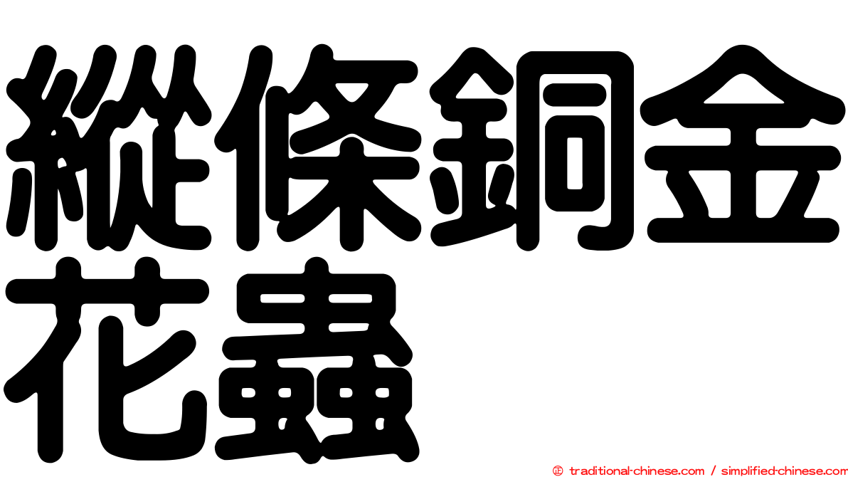 縱條銅金花蟲