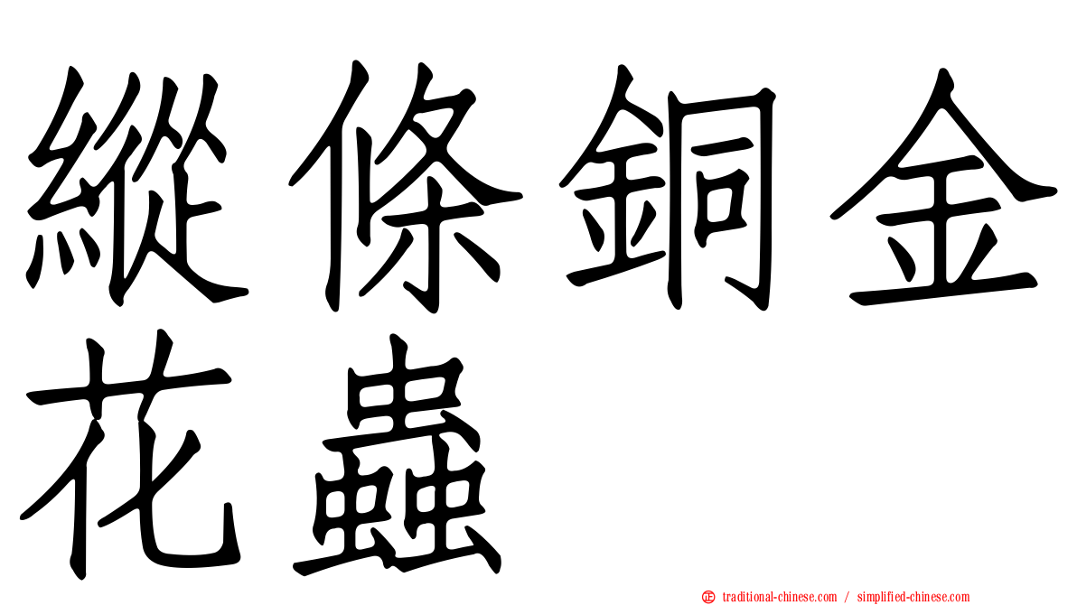 縱條銅金花蟲