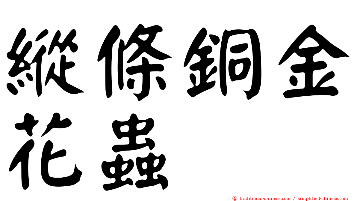 縱條銅金花蟲