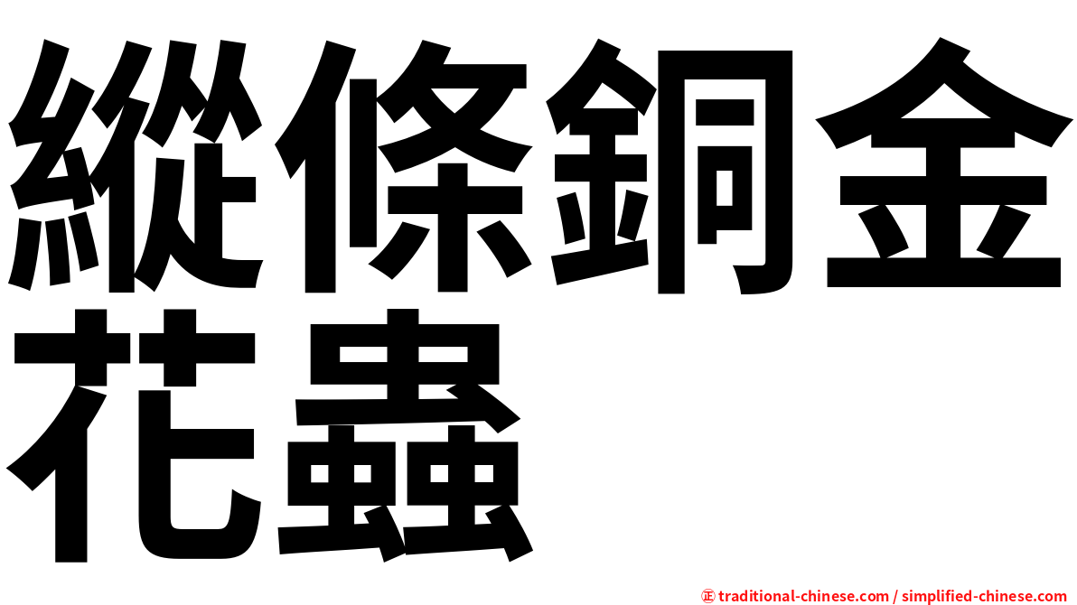 縱條銅金花蟲