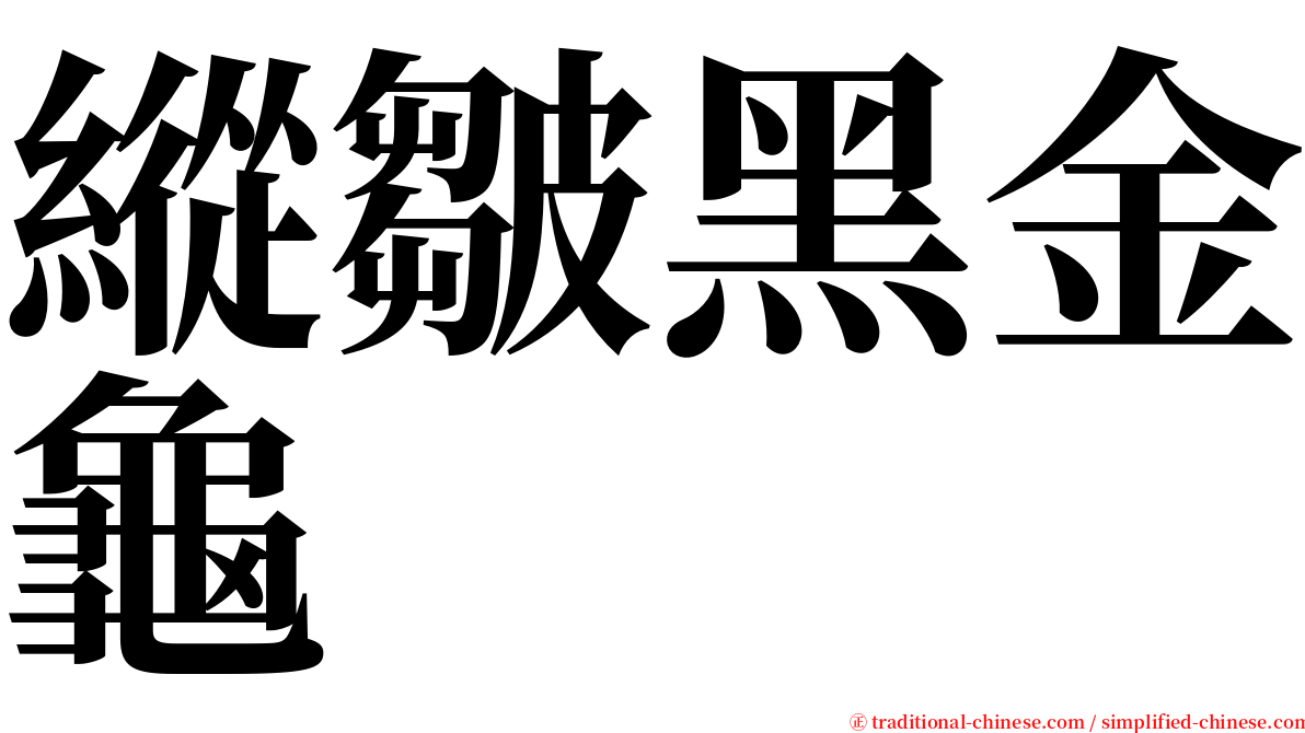 縱皺黑金龜 serif font