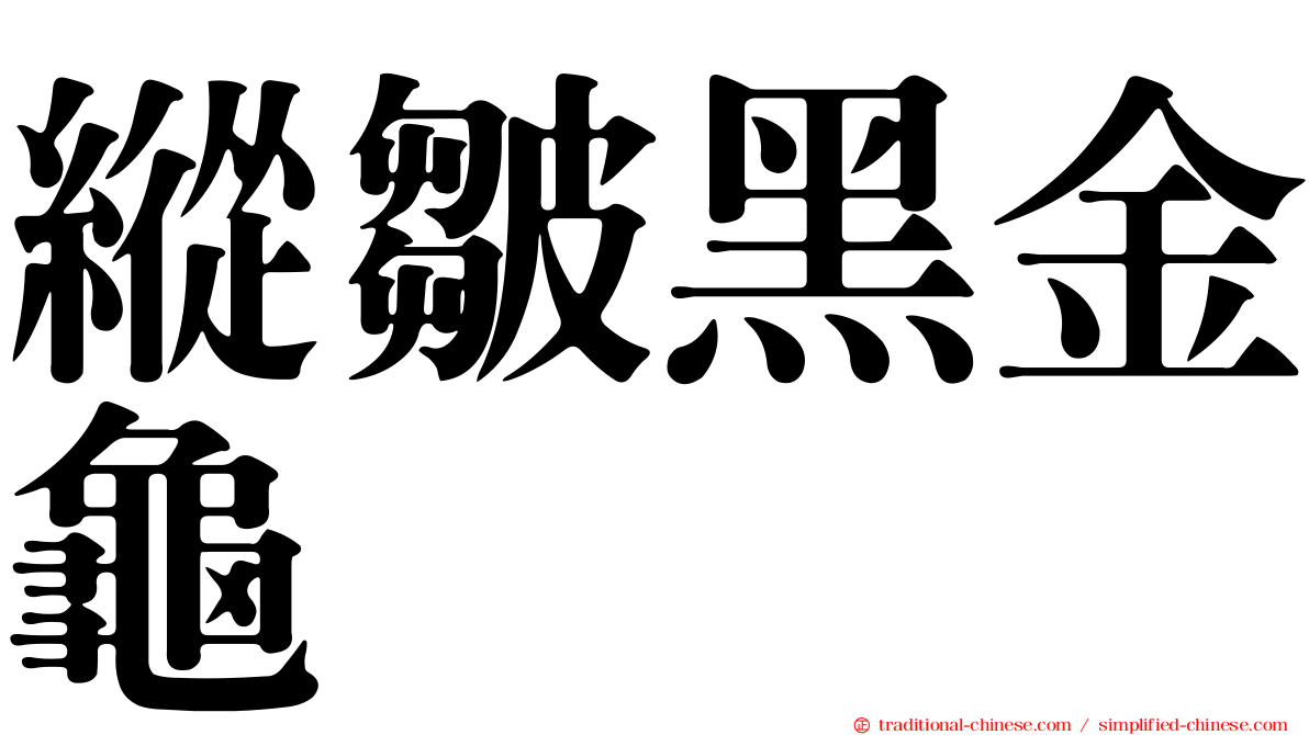 縱皺黑金龜
