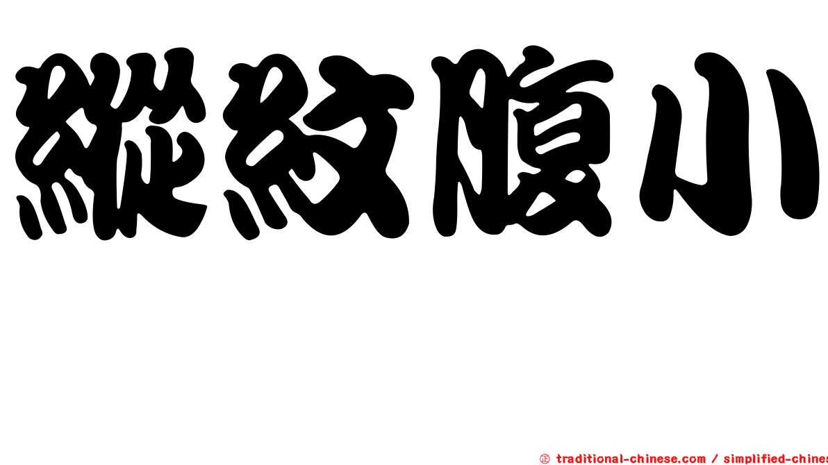 縱紋腹小鴞