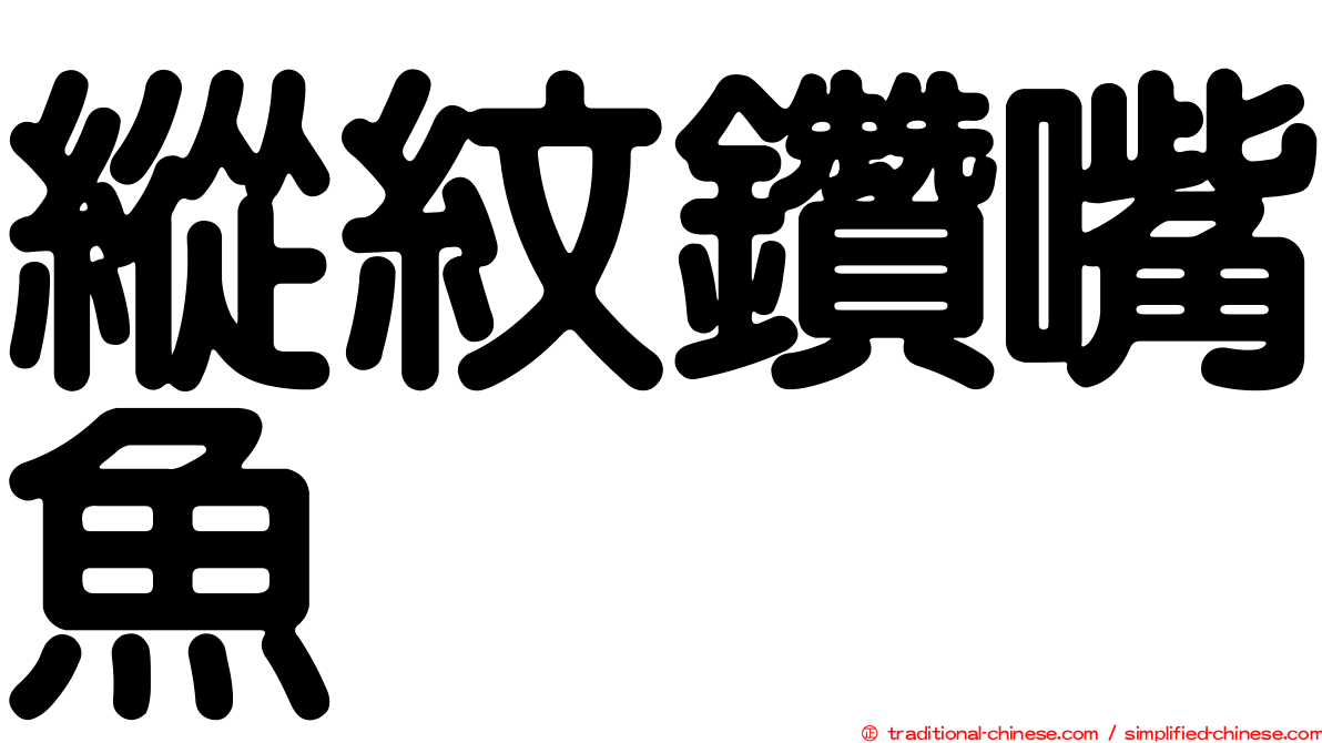 縱紋鑽嘴魚