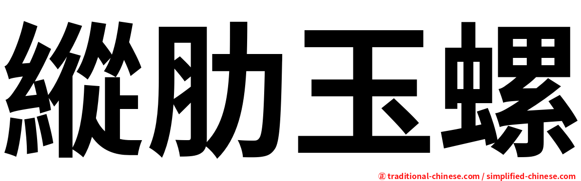 縱肋玉螺