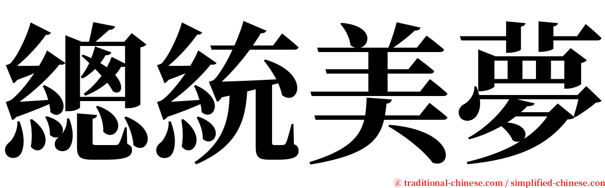 總統美夢 serif font