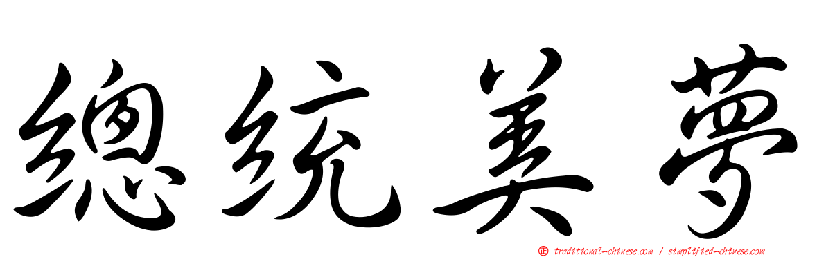 總統美夢