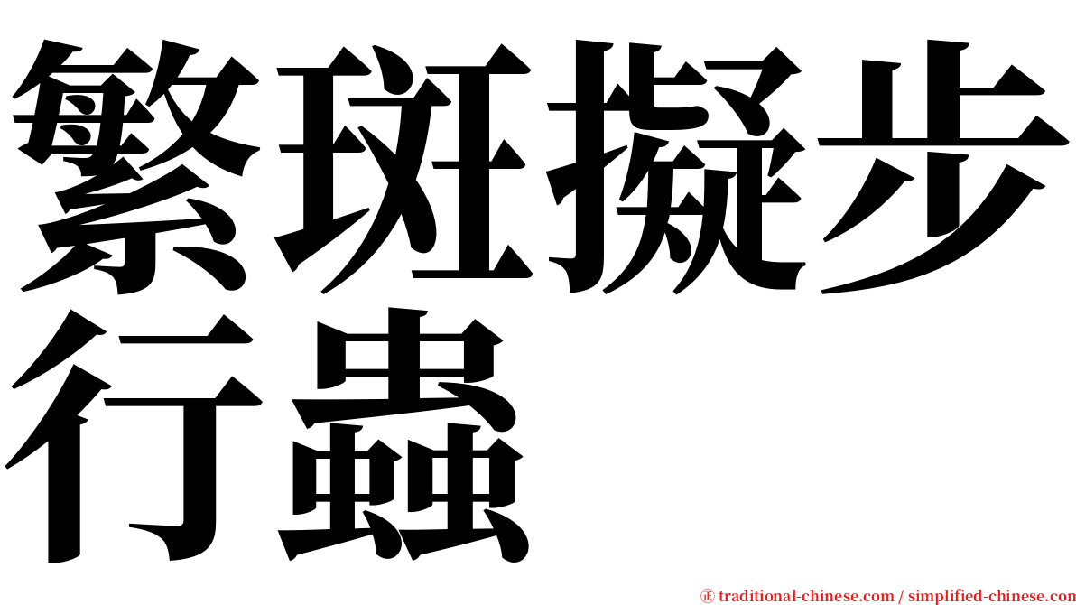 繁斑擬步行蟲 serif font