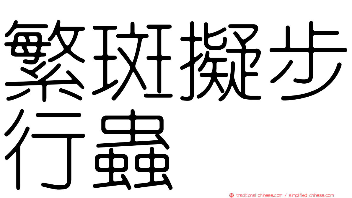 繁斑擬步行蟲