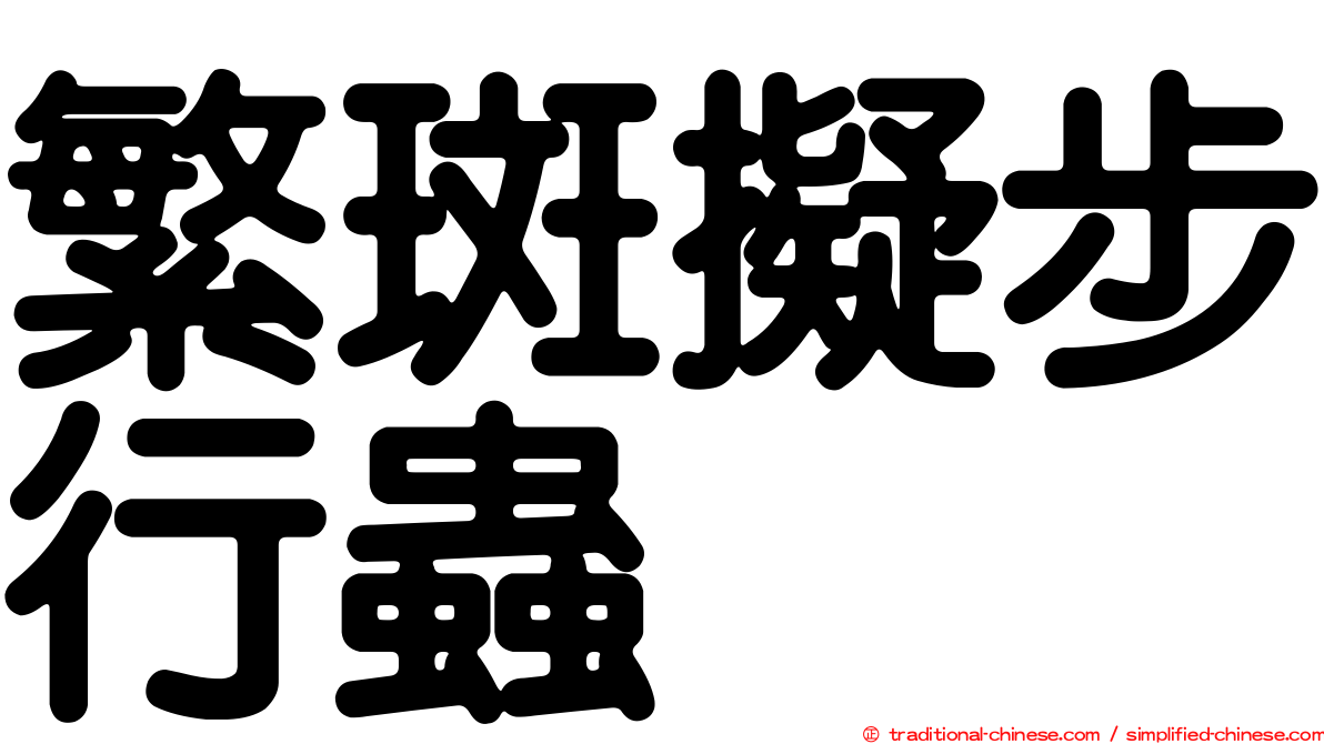 繁斑擬步行蟲