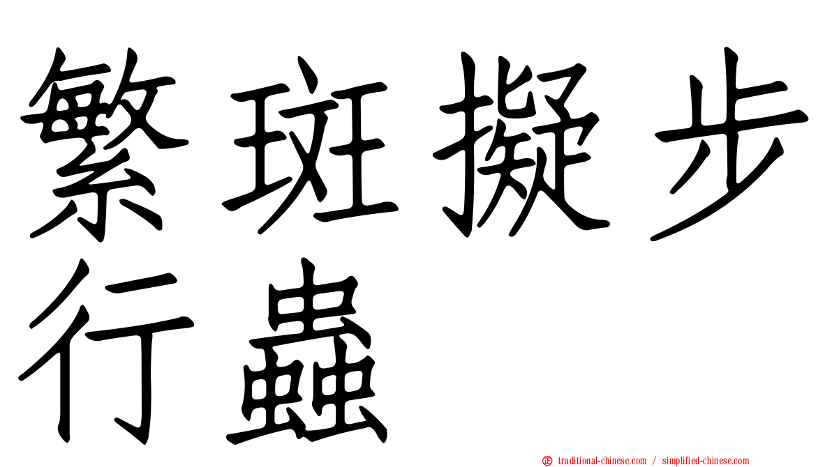 繁斑擬步行蟲
