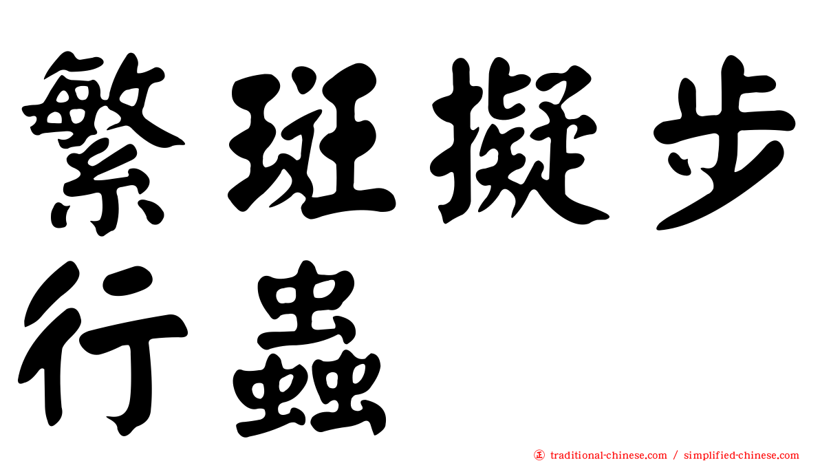 繁斑擬步行蟲