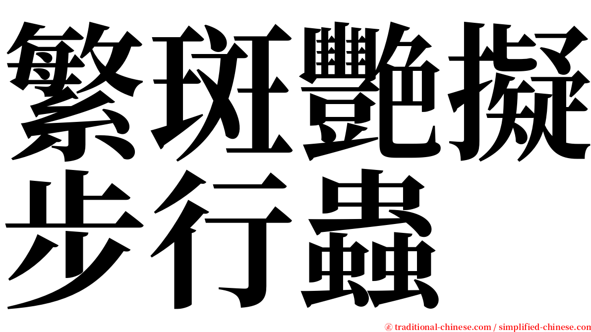 繁斑艷擬步行蟲 serif font