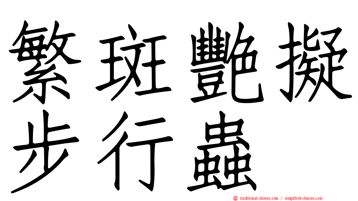 繁斑艷擬步行蟲