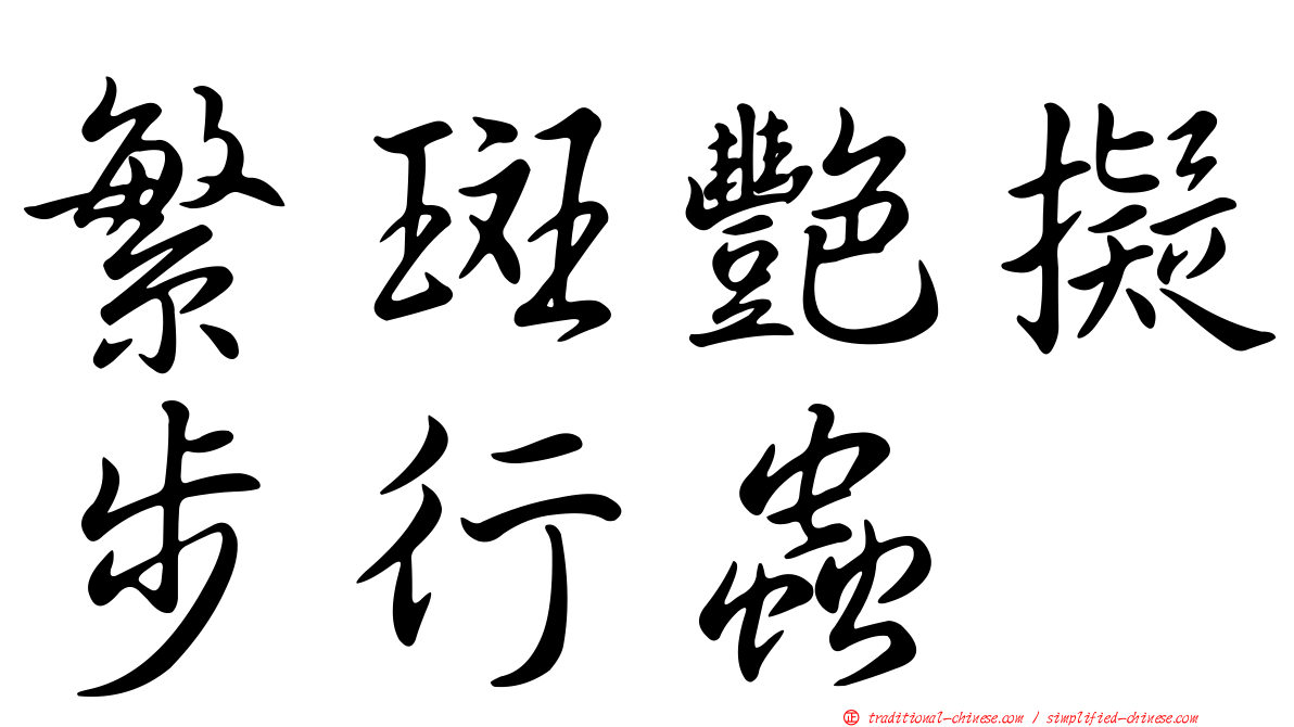 繁斑艷擬步行蟲