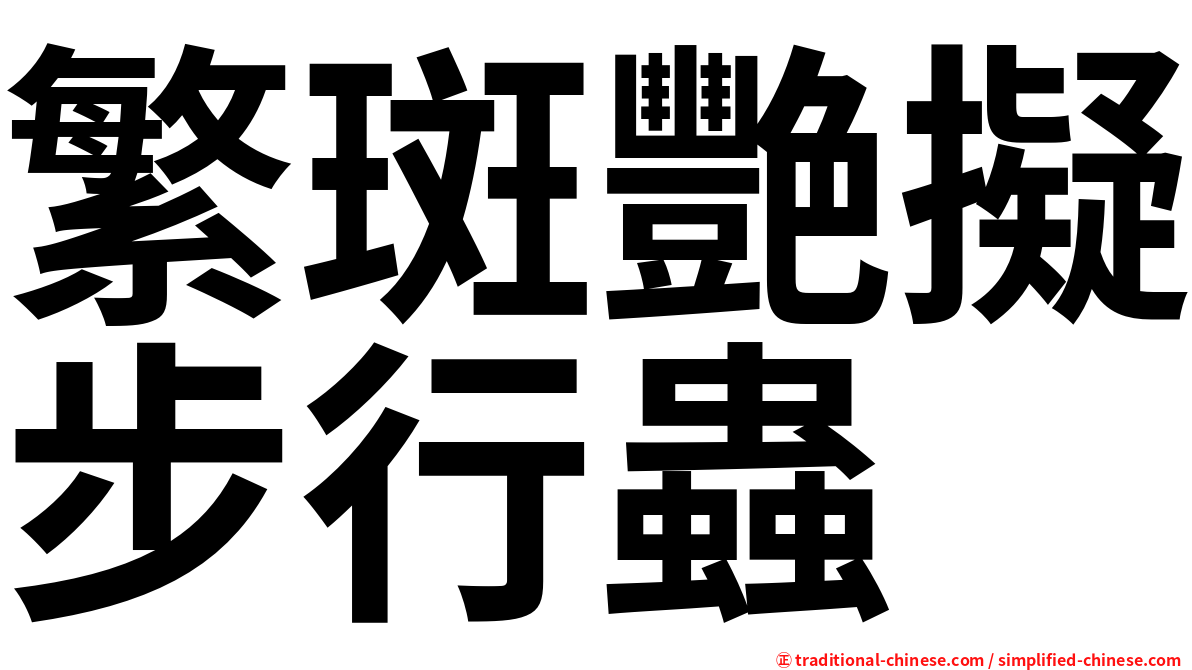 繁斑艷擬步行蟲