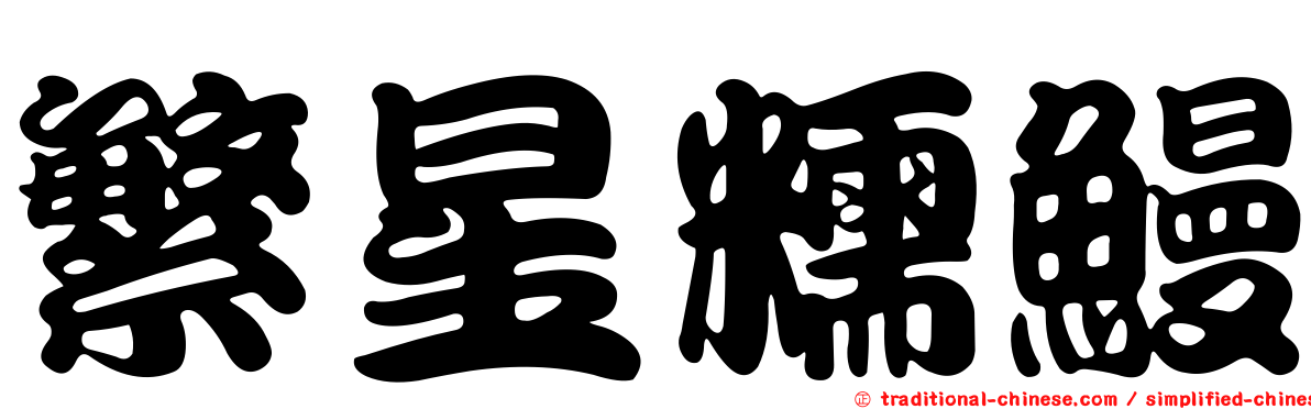 繁星糯鰻