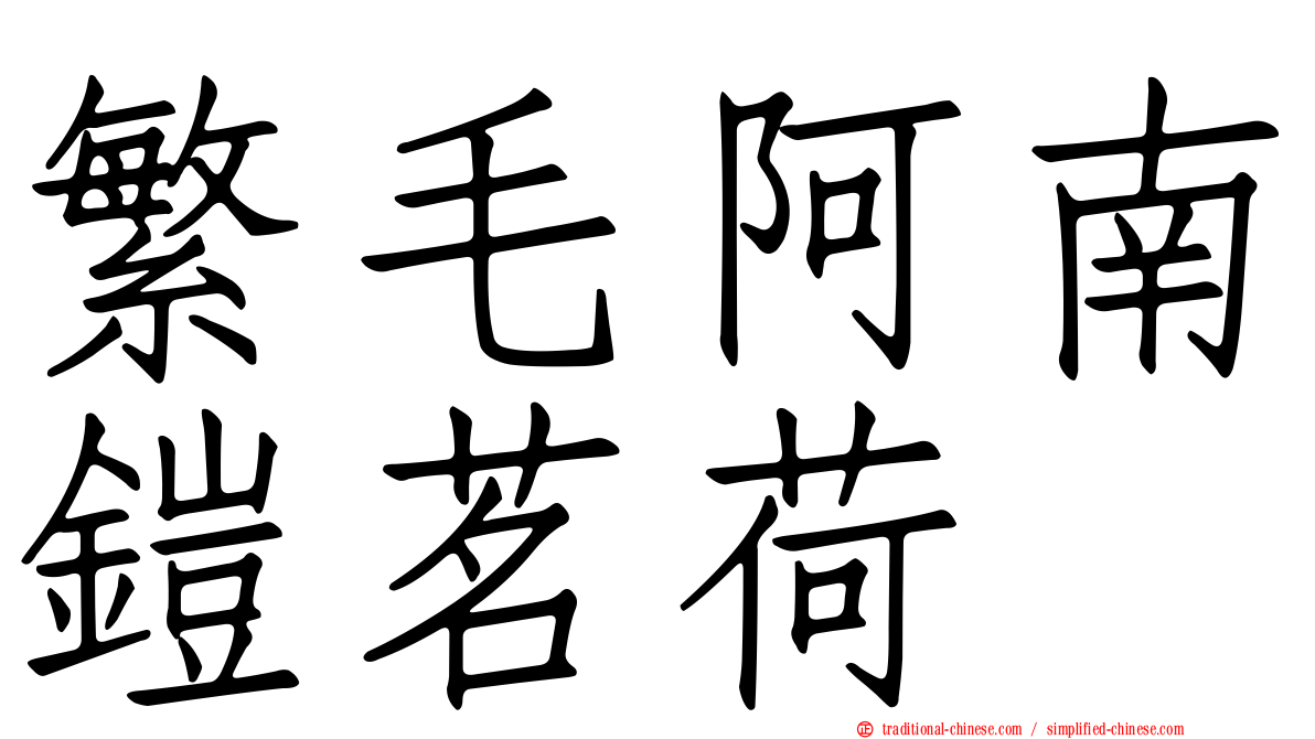 繁毛阿南鎧茗荷