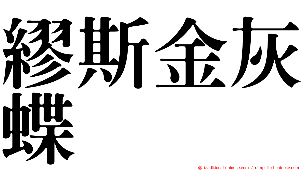 繆斯金灰蝶