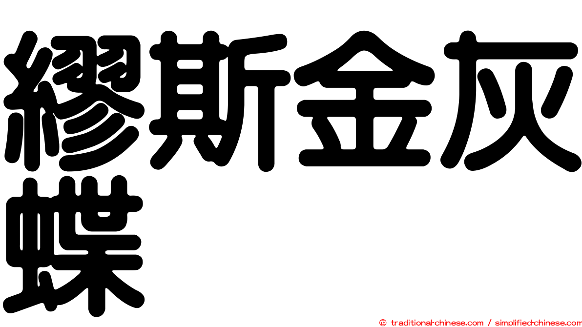 繆斯金灰蝶