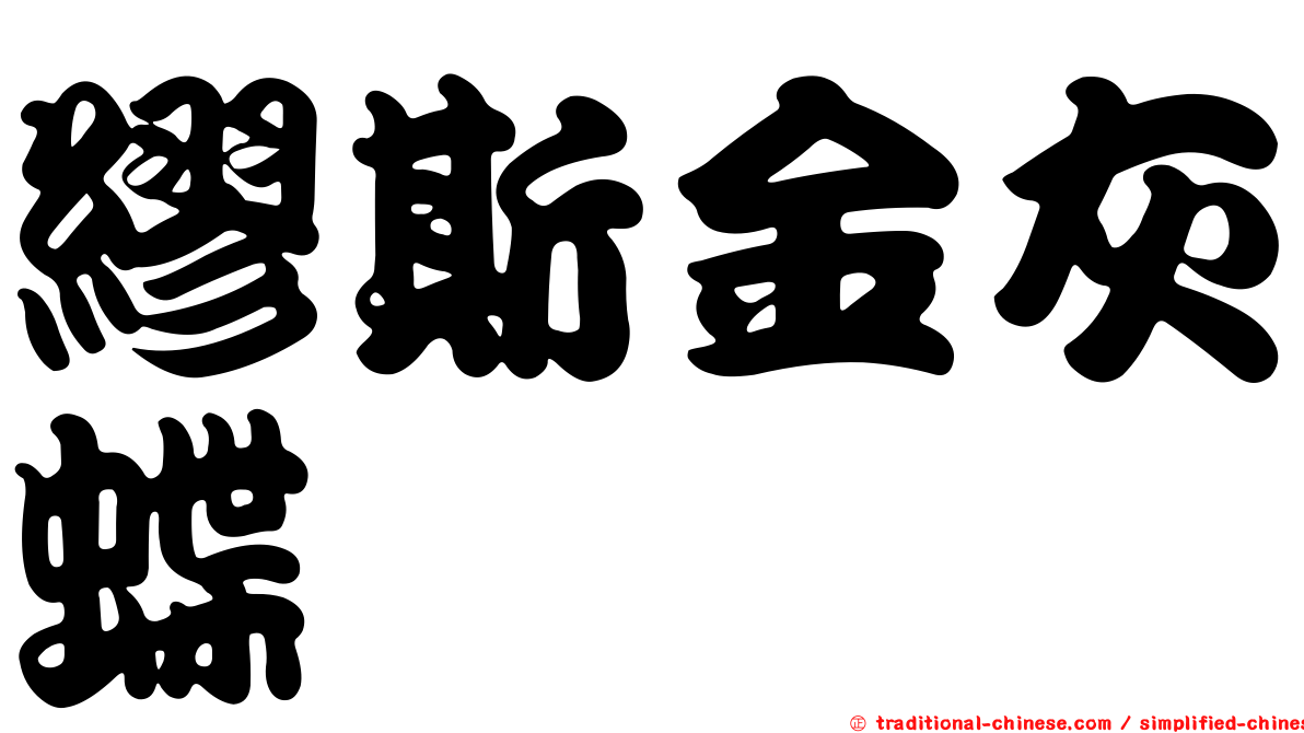 繆斯金灰蝶