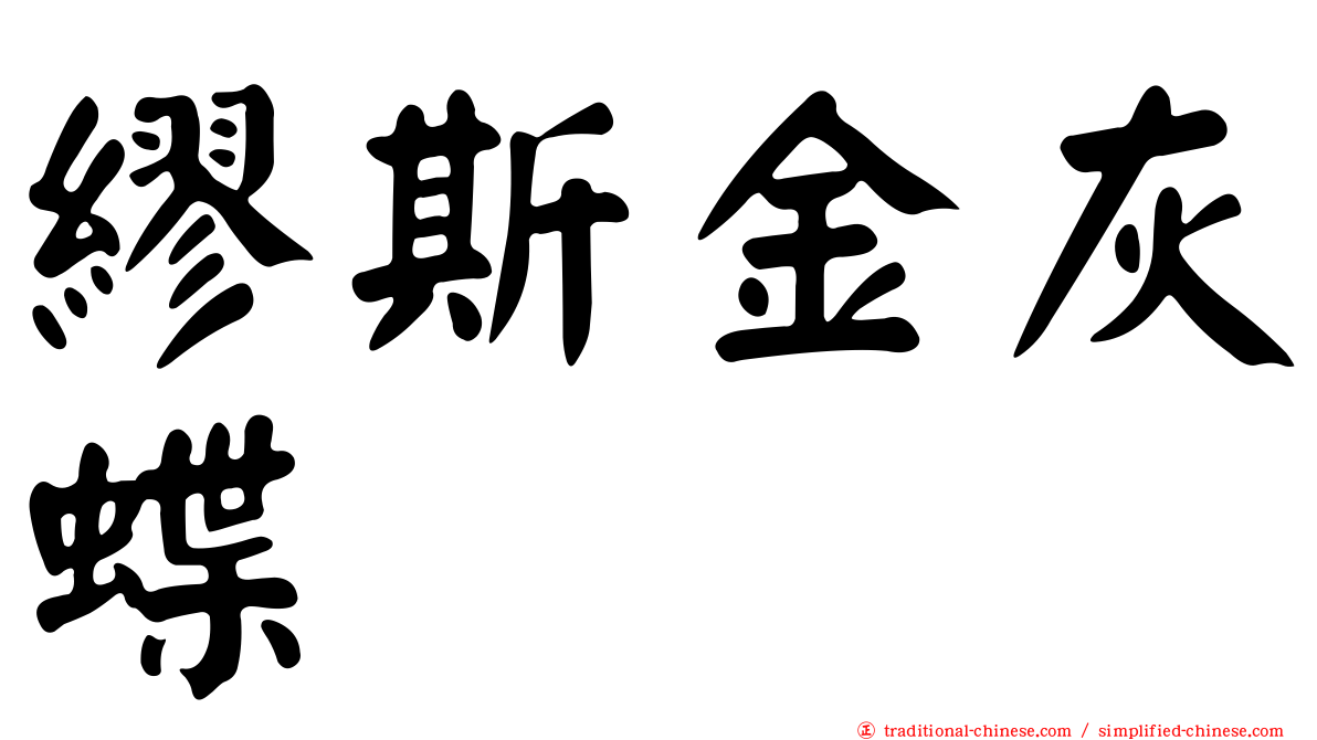 繆斯金灰蝶