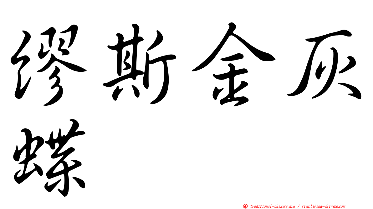 繆斯金灰蝶