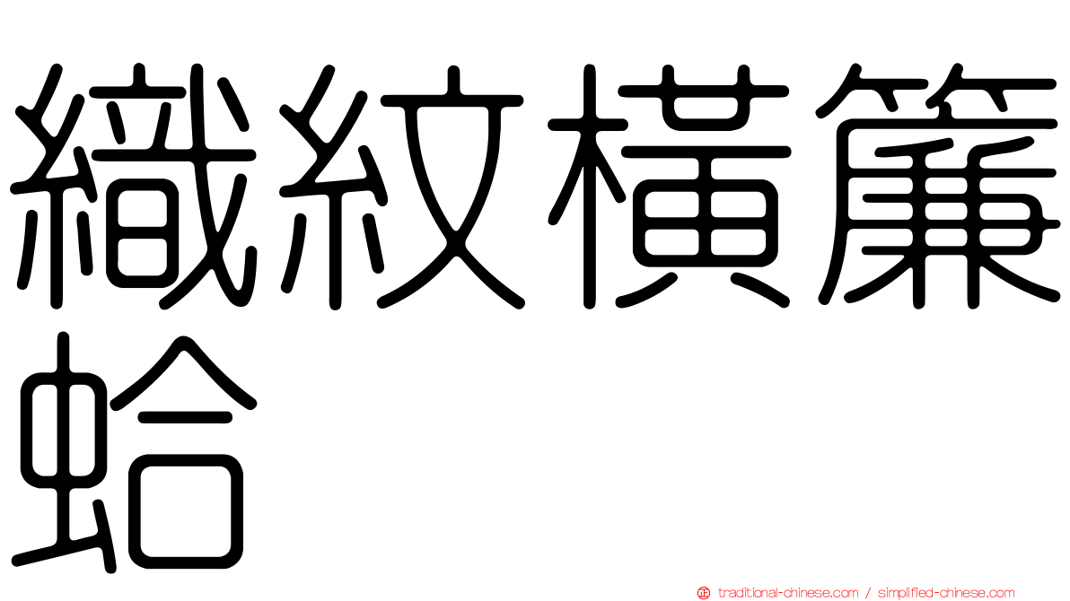 織紋橫簾蛤