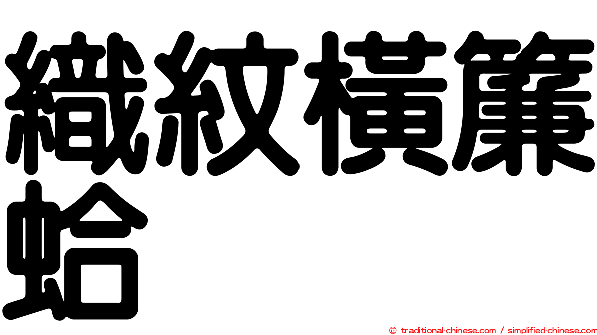 織紋橫簾蛤