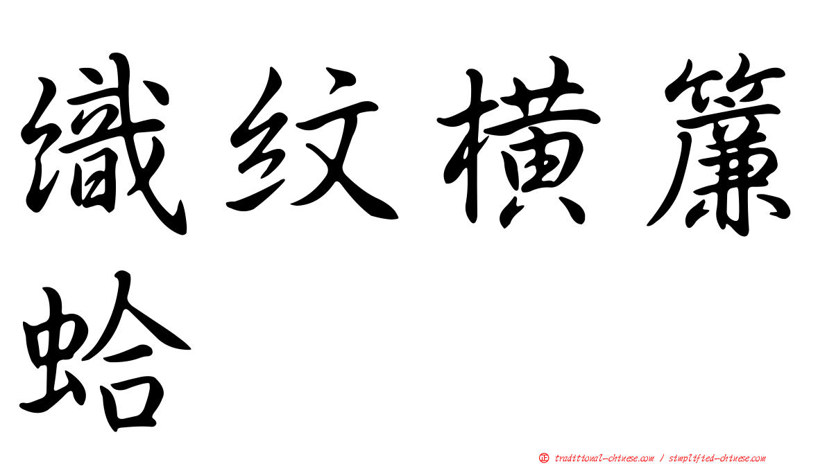 織紋橫簾蛤