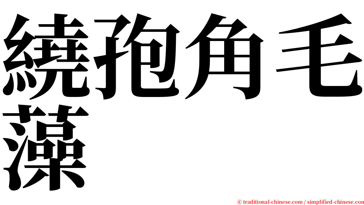 繞孢角毛藻 serif font