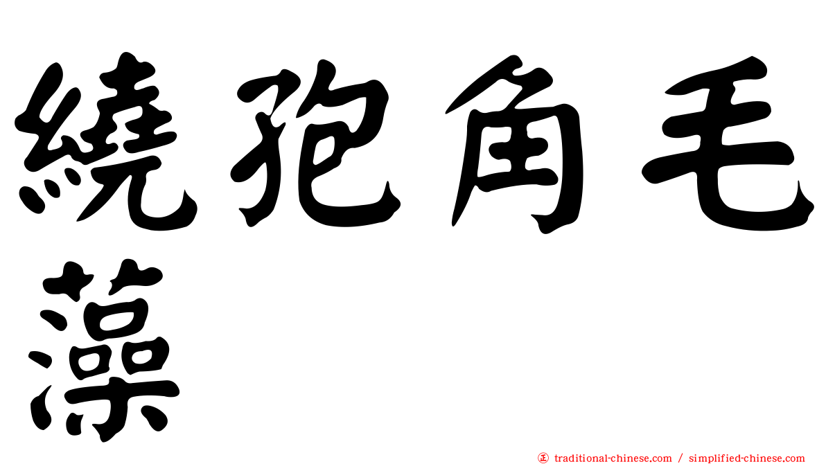 繞孢角毛藻