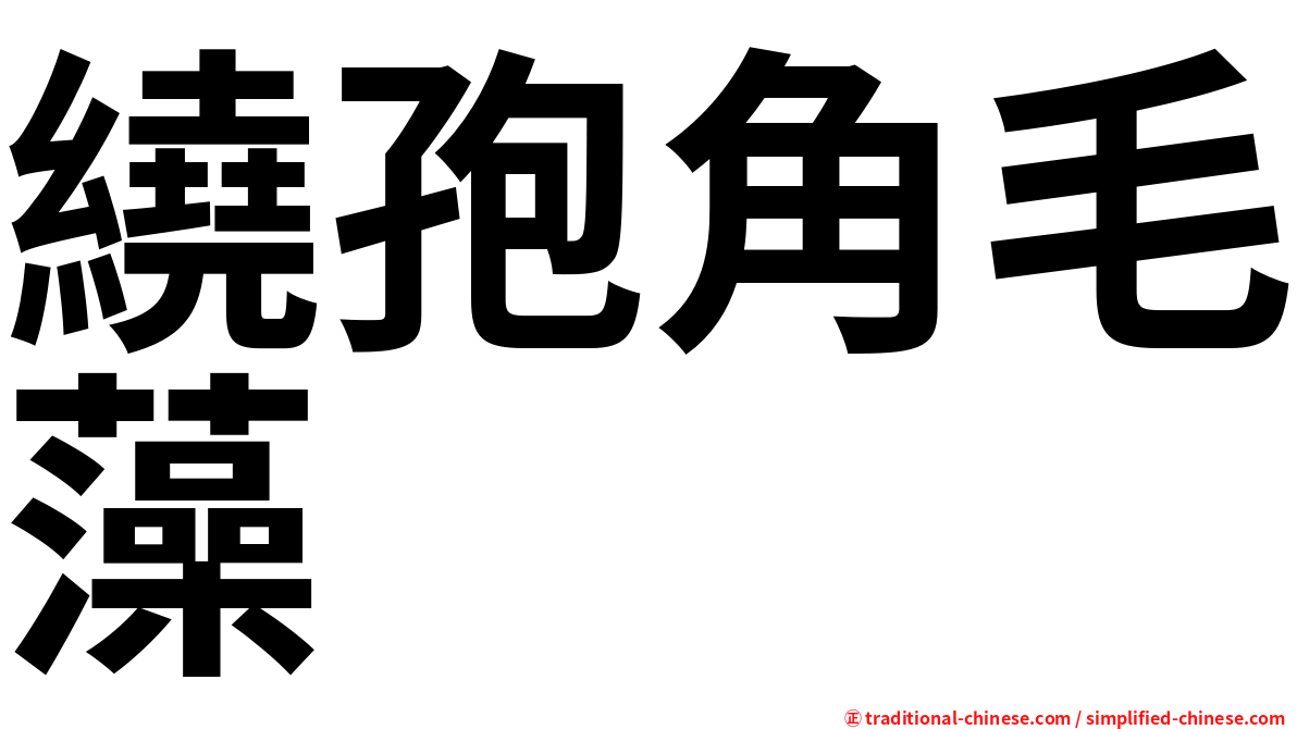 繞孢角毛藻