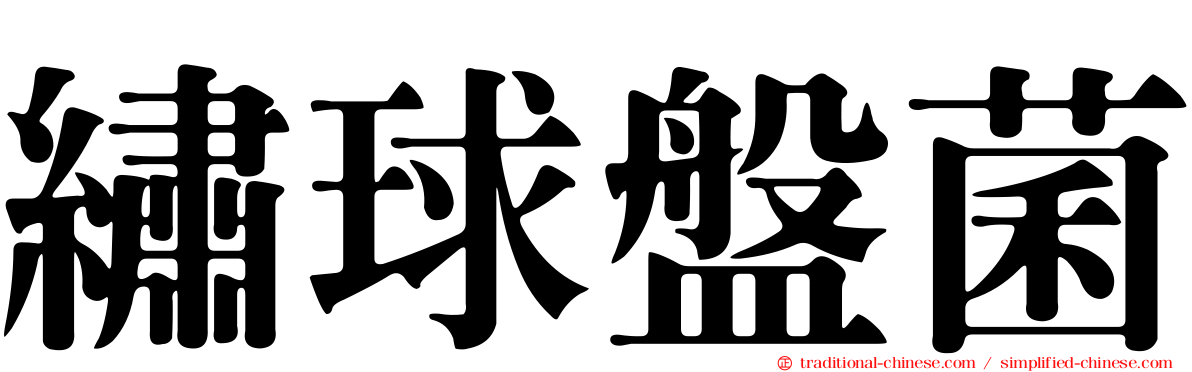 繡球盤菌