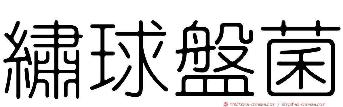 繡球盤菌