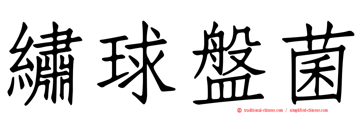 繡球盤菌