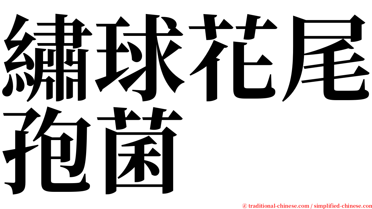 繡球花尾孢菌 serif font