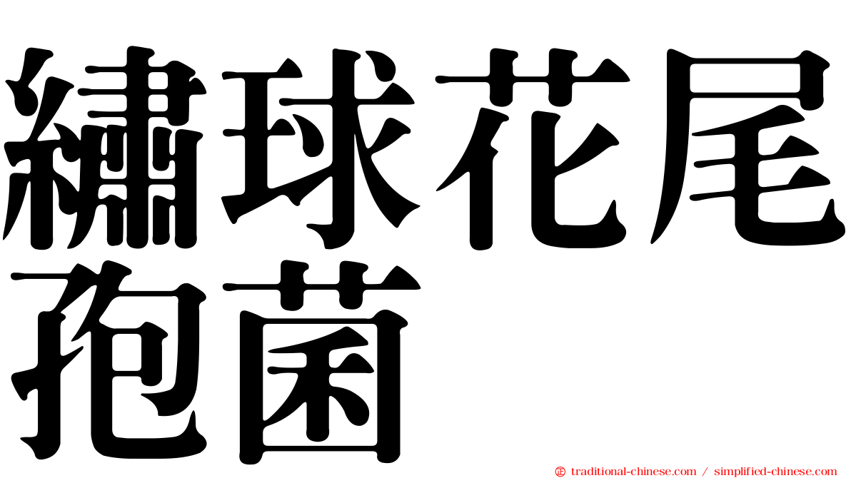 繡球花尾孢菌