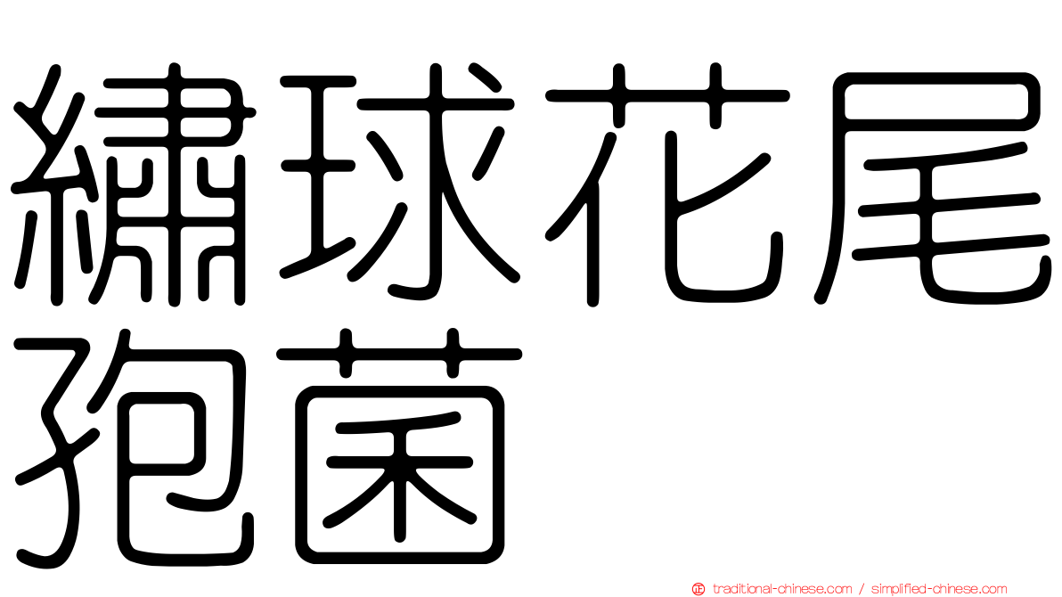 繡球花尾孢菌